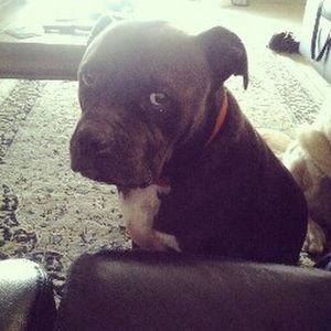 Meet your Posher, Helen